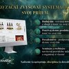 🥇 Rekruter – Gold → Kierownik | Hotel Alexandra **** Púchov / NIEDZIELA