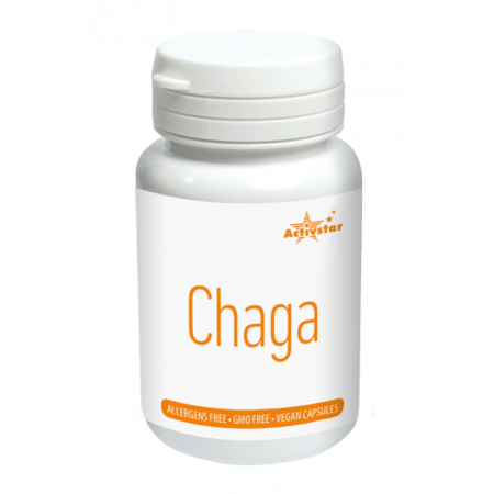 Chaga 60 wegańskich kapsułek